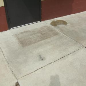 CFCA chapel sidewalk 1